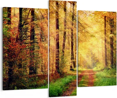 Produktbild von Bild auf Leinwand - Leinwandbild - Wald Baum Natur - 95x80cm - Wand Bild - Wanddeko - Wandbilder - Leinwanddruck - Bilder - Kunstdruck - Wanddekoration - Leinwand bilder - Wandkunst - CB95x80-3718
