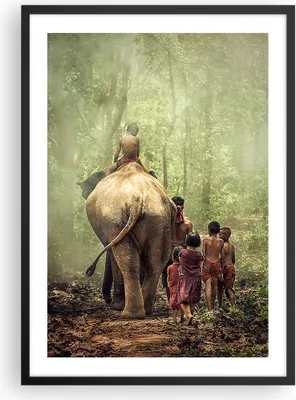 Produktbild von Gerahmtes Poster - Schwarzer Rahmen - Elefant Dschungel Nebel - 50x70 cm - Wand Bild - Wanddeko - Wandbilder - Wandposter - Bilderrahmen - Bilder - Kunstdruck - Wandbild - P2BPA50x70-3438
