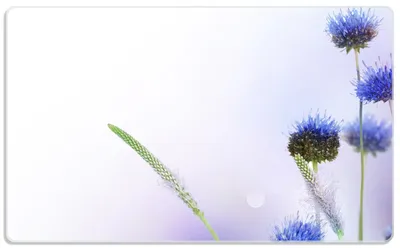 Produktbild von Wallario Frühstücksbrettchen aus Glas, je 14 x 23 cm, mit rutschfesten Füßen, Motiv Abstrakte lila Blume