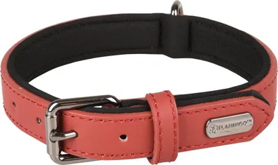 Produktbild von Flamingo Halsband Binti rot, Maße: 47/57 cm / 30 mm