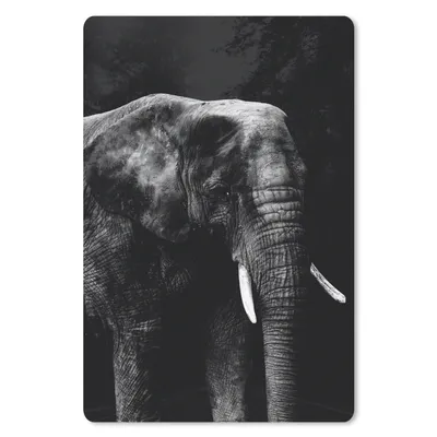Produktbild von MuchoWow® Mauspad Mousepad Elefant auf schwarzem Hintergrund - schwarz und weiß 18x27 cm - Mousepads - Maus Mat - Pad - Mausunterlage