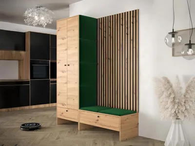 Obrázok produktu pre Stena do chodby ZAMORA 3 - dub artisan / zelená