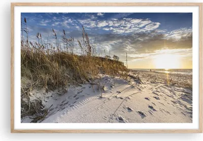Produktbild von Gerahmtes Poster - Rahmen in heller Eiche - Sand Gras Meer - 91,5x61 cm - Wand Bild - Wanddeko - Wandbilder - Kunstposter - Wandposter - Bilderrahmen - Bilder - Kunstdruck - P2NAA91x61-4781