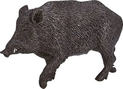 Immagine prodotto di Legler Animal Planet cinghiale, giocattolo, da 3 anni, 387160
