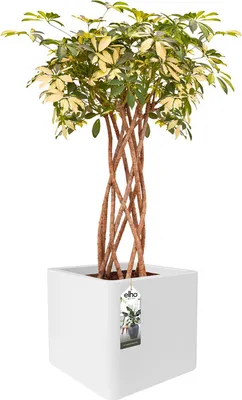 Produktbild von Elho Greenville Rund 30 - Blumentopf - Klinkerrot - Außen - Ø 29.5 x H 27.8 cm