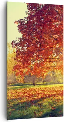 Produktbild von Bild auf Leinwand - Leinwandbild - Park Herbst Baum - 65x120cm - Wand Bild - Wanddeko - Wandbilder - Leinwanddruck - Bilder - Kunstdruck - Wanddekoration - Leinwand bilder - Wandkunst - PA65x120-3654