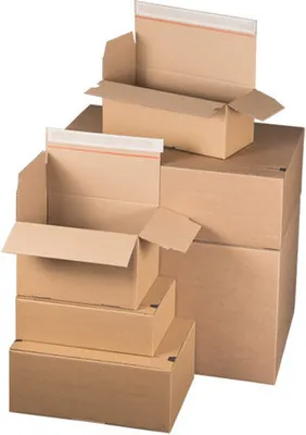 Produktbild von 10x Schnellaufrichtekarton 310x230x158mm Selbstklebeverschluss Aufreißfaden Automatikboden braun A4+