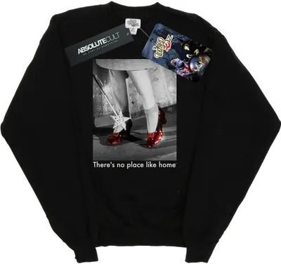 Produktbild von The Wizard Of Oz - Sweatshirt für Herren BI48629 (XL) (Schwarz)