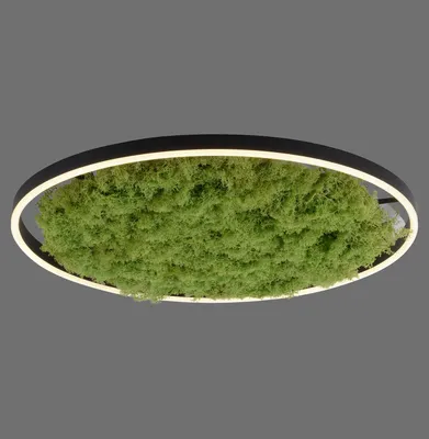 Produktbild von JUST LIGHT GERDA RITUS LED Deckenleuchte Warmweiss Dimmbar 28W moos 15392-66