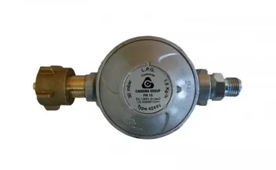 Immagine prodotto di Regolatore di sicurezza 1,5 kg 30 mb