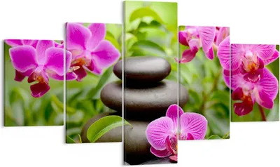 Produktbild von Bild auf Leinwand - Leinwandbild - Blumen Steine Bambus Dekoration - 125x70cm - Wand Bild - Wanddeko - Leinwanddruck - Bilder - Kunstdruck - Leinwand bilder - Wandkunst - EA125x70-2687