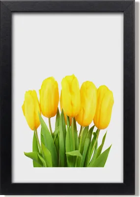 Produktbild von Bild 20x30 MDF-Rahmen, Wandkunst Gelbe Tulpen