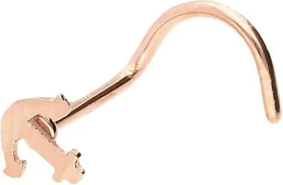 Produktbild von Nasenpiercing, Nasenstecker Chirurgenstahl Nasenstecker Spirale ANKER