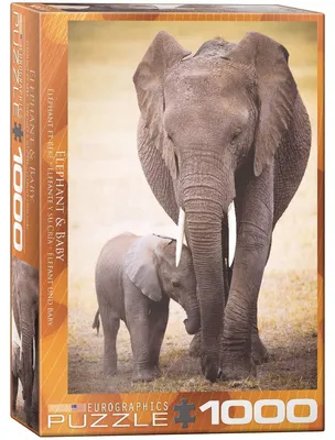 Produktbild von Eurographics Elephant & Baby 1000pcs, 1000 Stück(e), Tiere