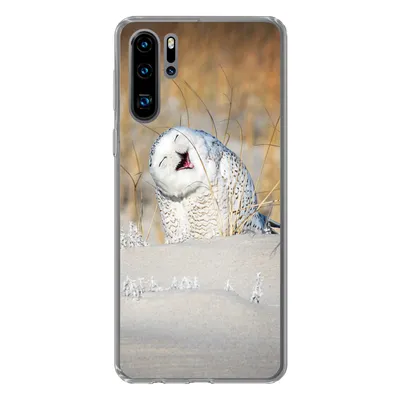 Produktbild von MuchoWow® Handyhülle Schutzhülle Hülle für Huawei P30 Pro Eule - Schnee - Düne Silikon Softcase Handy Hülle - Schutzdeckel
