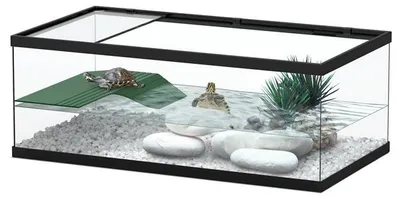 Productafbeelding van TerrAtlantis Schildpadbak Tortum 55 | 55x29x20 cm | Zwart | Met plateau en afdekking