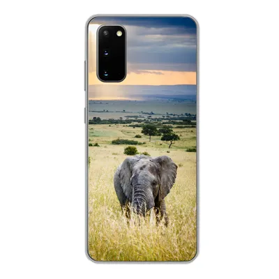 Produktbild von MuchoWow® Handyhülle Schutzhülle Hülle für Samsung Galaxy S20 Elefant - Tiere - Landschaft - Sonne - Natur Silikon Softcase Handy Hülle - Bild