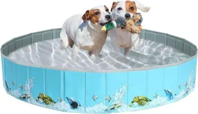 Immagine prodotto di Vasca da bagno portatile in PVC 160x30 cm per cani e bambini