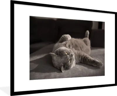 Produktbild von MuchoWow® MuchoWow® Gerahmtes Poster Tier - Katze - Grau 90x60 cm - Poster mit zchwarzem Bilderrahmen - Wanddekoration - Fotos