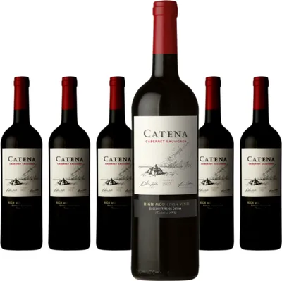 Produktbild von 6 x Catena Zapata Catena Cabernet Sauvignon