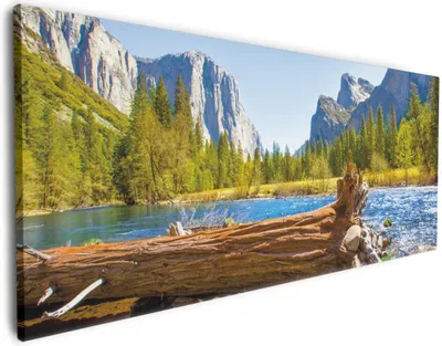 Produktbild von Wallario Premium Leinwandbild Baumstamm im Fluss zwischen Bergen und Wäldern in Größe 80 x 200 cm