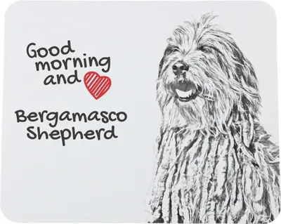 Zdjęcie produktu dla Art-Dog Podkładka pod mysz – Bergamasco