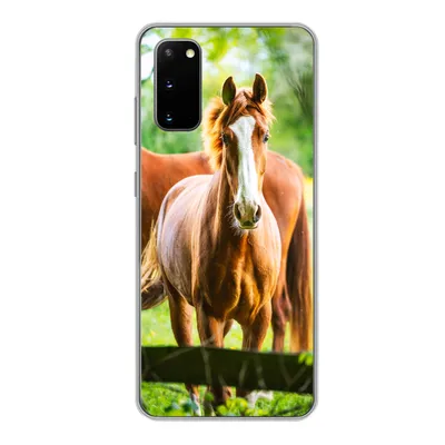 Produktbild von MuchoWow® Handyhülle Schutzhülle Hülle für Samsung Galaxy S20 Pferde - Licht - Wiese Silikon Softcase Handy Hülle - Bild