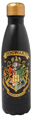 Image de Bouteille de Harry Potter Poudlard en acier inoxydable 500ml
