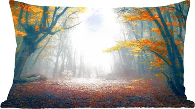 Produktbild von MuchoWow® Zierkissen Sofakissen Wohnzimmer Dekokissen 60x40 cm Wald - Nebel - Herbst - Kopfkissen - Polster mit Foto