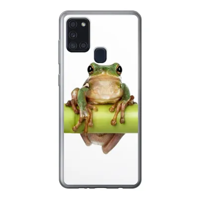 A frog is sitting on a green bamboo stick, displayed on a white background.