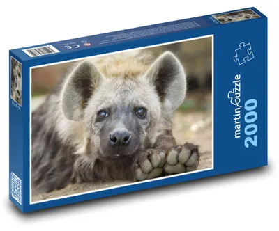 Obrázek produktu pro martinpuzzle - Puzzle 2000 - Hyena - mládě