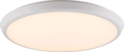 Produktbild von GLOBO Deckenleuchte LED Wohnzimmer Flur Bad Küche Deckenlampe Rund weiß 32109