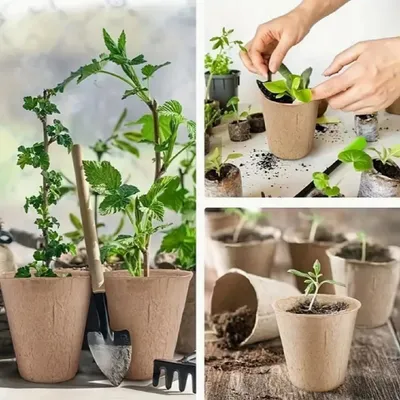 Produktbild von Torftöpfe | Ø 6cm | 60 Stück | Ziehtöpfe Anzuchttöpfe Anzuchttopf Aussaattöpfe Saattopf Pflanzschale Anpflanzen