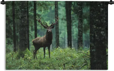 Produktbild von MuchoWow® Wandteppich Wandbehang Hirsche - Wald - Bäume - Tiere - Natur 60x40 cm Tapisserie Dekoration Wandtuch - Wanddekorationen