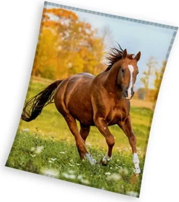 Obrázek produktu pro 150x200 deka pro mládež Kůň s mustangem
