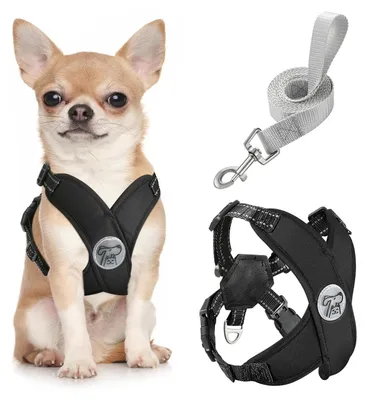 Hundegeschirr-Set für kleine Hunde, verstellbar, weich, atmungsaktiv