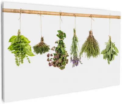 Produktbild von Wallario Premium Leinwandbild Verschiedene Kräuter an der Leine in Größe 60 x 90 cm