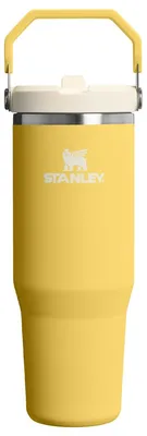 Immagine prodotto di Stanley - Borraccia IceFlow Flip Straw 2.0, capacità 890 ml, colore giallo (girasole)