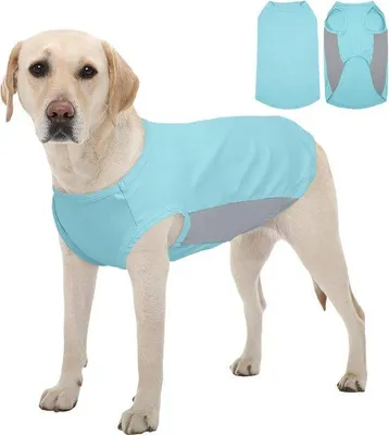 Produktbild von Famanu Hundeshirt Sonnenschutz - Kühlweste für den Sommer