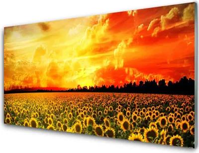 Produktbild von Acrylglasbilder 100x50 Wandbild Druck Wiese Sonnenblumen Pflanzen