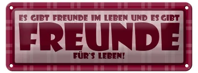 Produktbild von Blechschild Spruch 27x10cm Es gibt Freunde im Leben Dekoration
