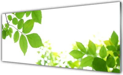 Produktbild von Acrylglasbilder 125x50 Wandbild Druck Blumen Blätter Pflanzen