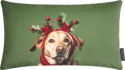 Produktbild von MAGMA Heimtex - Kissen - WAUWAU - 30x50 cm - Retriever