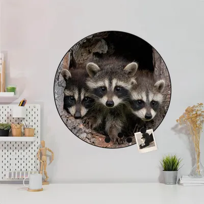 Zdjęcie produktu dla Designerska tablica magnetyczna stalowa czarna okrągła 47cm Trzy szopy