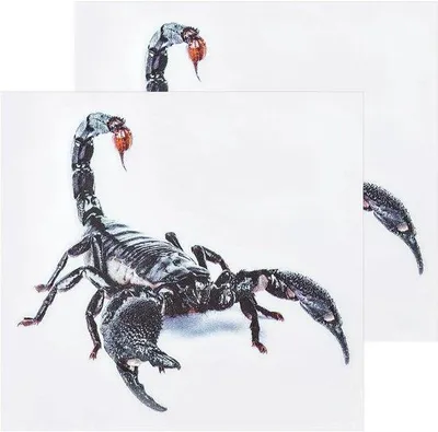Produktbild von 3D Skorpion Aufkleber PVC Auto Dekoration