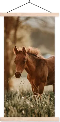 Produktbild von MuchoWow® Textilposter Pferd - Licht - Wiese 60x120 cm mit holzfarbenen Rahmen - Holz