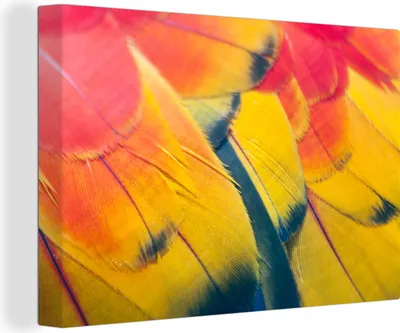 Produktbild von OneMillionCanvasses® - Leinwandbilder - 150x100 cm, Gefiederstruktur eines Papageis, Wandbilder Kunstdruck Wanddekoration