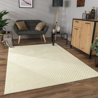 Produktbild von Teppich Wohnzimmer Schlafzimmer Kurzflor Skandinavisches Boho Design Geometrisch Grösse 60x100 cm