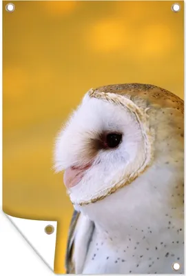 Produktbild von MuchoWow®