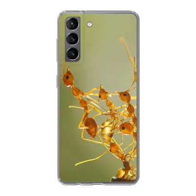 Produktbild von MuchoWow® Handyhülle Schutzhülle Hülle für Samsung Galaxy S21 Ameisen - Orange - Tiere Silikon Softcase Handy Hülle - Softcase